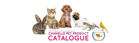 chanel pets|chanelle veterinary.